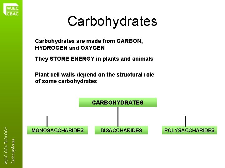 Carbohydrates are made from CARBON, HYDROGEN and OXYGEN They STORE ENERGY in plants and