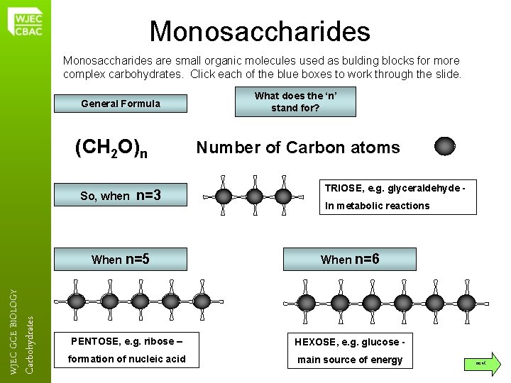 Monosaccharides are small organic molecules used as bulding blocks for more complex carbohydrates. Click