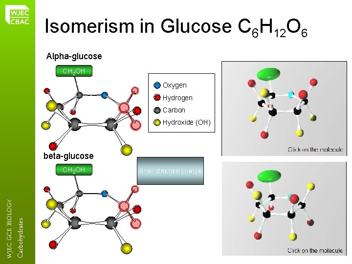 Isomerism in Glucose C 6 H 12 O 6 Alpha-glucose CH 2 OH Oxygen