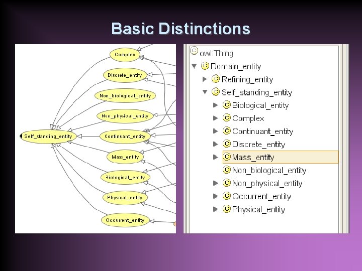 Basic Distinctions 