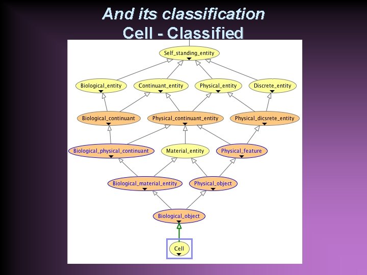 And its classification Cell - Classified 