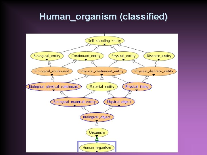 Human_organism (classified) 