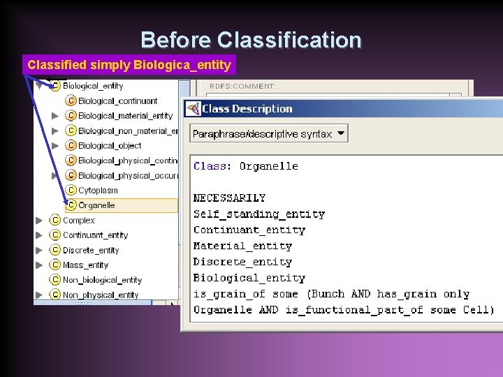 Before Classification Classified simply Biologica_entity 