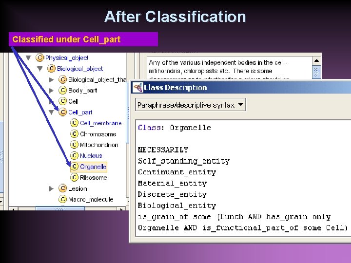 After Classification Classified under Cell_part 