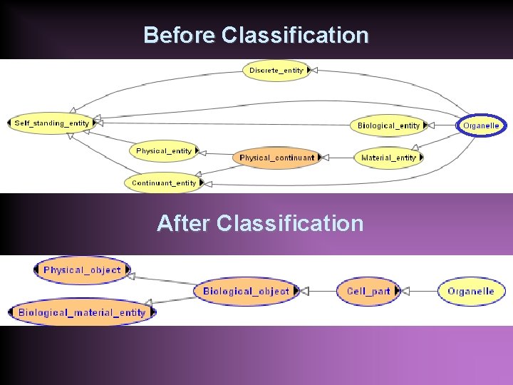 Before Classification After Classification 