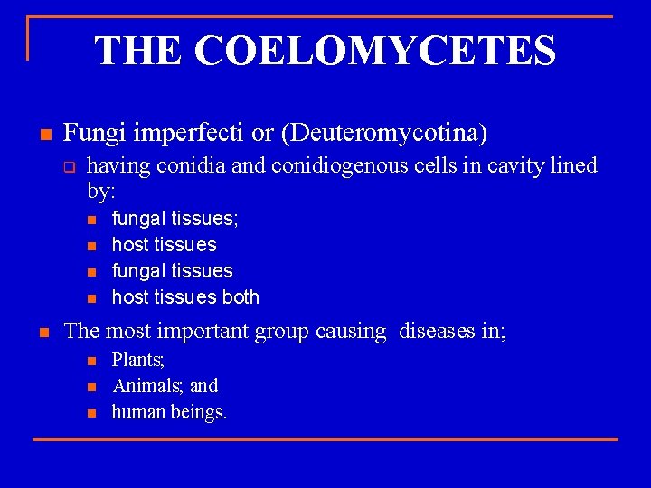 THE COELOMYCETES n Fungi imperfecti or (Deuteromycotina) q having conidia and conidiogenous cells in