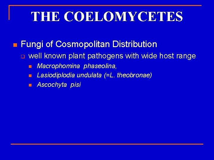 THE COELOMYCETES n Fungi of Cosmopolitan Distribution q well known plant pathogens with wide