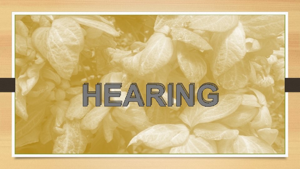 HEARING 