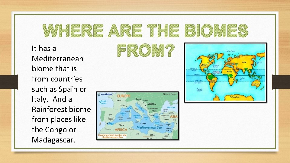 WHERE ARE THE BIOMES It has a FROM? Mediterranean biome that is from countries