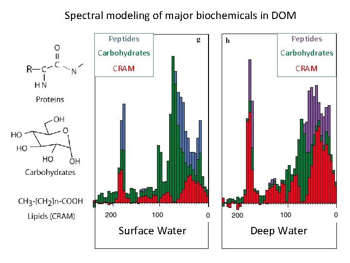 Spectral modeling of major biochemicals in DOM Peptides Carbohydrates CRAM Surface Water Deep Water