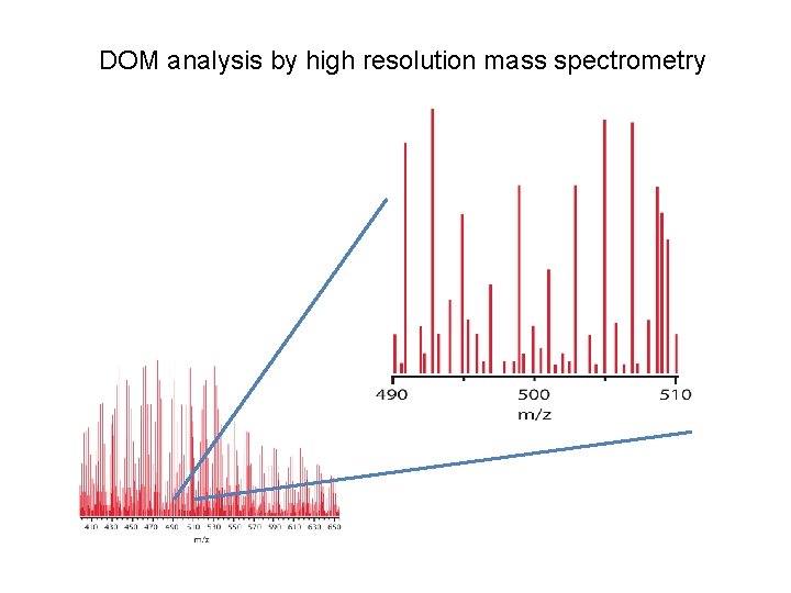 DOM analysis by high resolution mass spectrometry DOM analysis by high resolution mass spectrometry