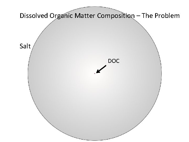 Dissolved Organic Matter Composition – The Problem Salt DOC 