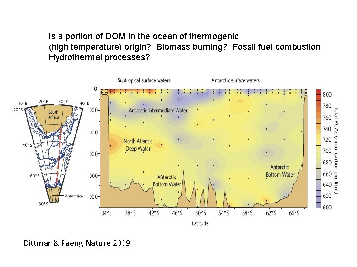 Is a portion of DOM in the ocean of thermogenic (high temperature) origin? Biomass