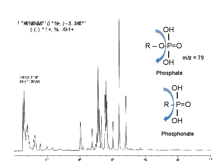 OH R – O-P=O OH m/z = 79 Phosphate OH R - P=O OH OH R – O-P=O OH m/z = 79 Phosphate OH R - P=O OH