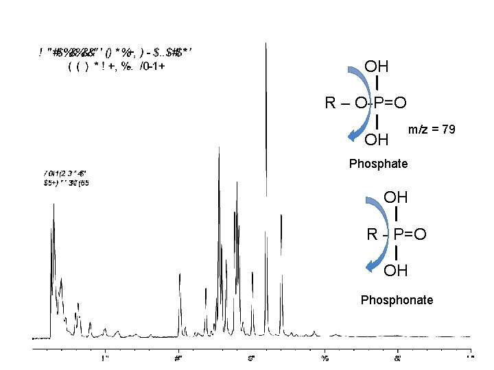 OH R – O-P=O OH m/z = 79 Phosphate OH R - P=O OH