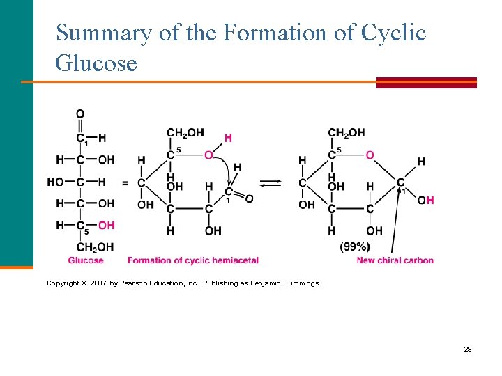 Summary of the Formation of Cyclic Glucose Copyright © 2007 by Pearson Education, Inc