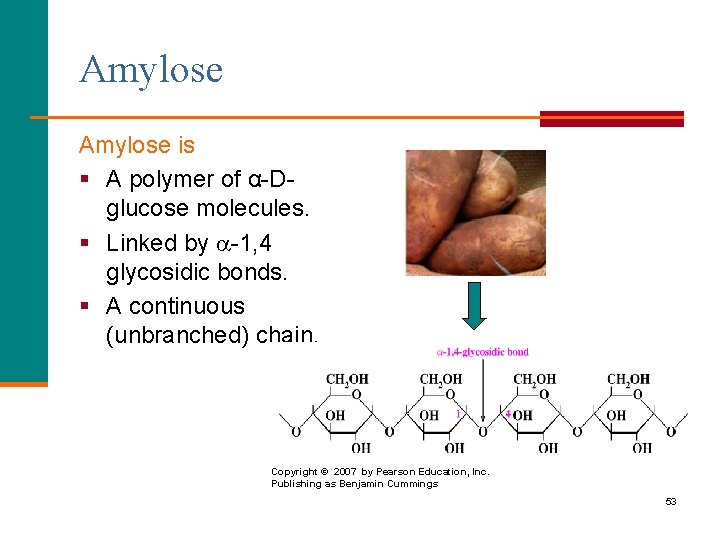 Amylose is § A polymer of α-Dglucose molecules. § Linked by -1, 4 glycosidic