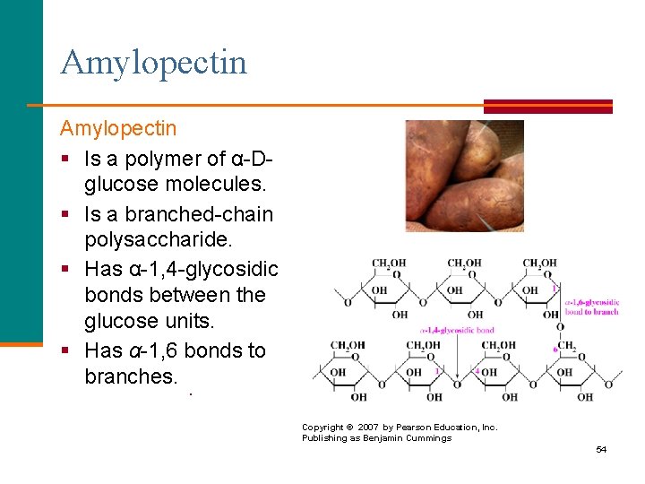 Amylopectin § Is a polymer of α-Dglucose molecules. § Is a branched-chain polysaccharide. §