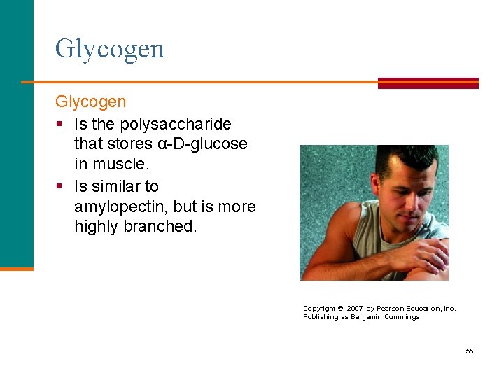 Glycogen § Is the polysaccharide that stores α-D-glucose in muscle. § Is similar to