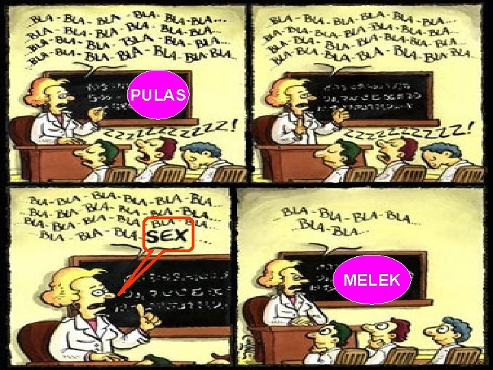 PULAS MELEK 