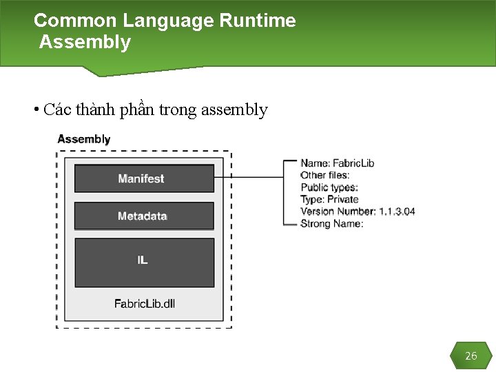 Common Language Runtime Assembly • Các thành phần trong assembly 26 