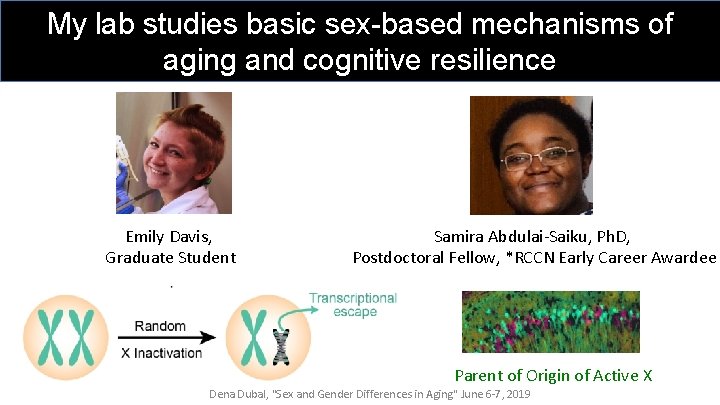 My lab studies basic sex-based mechanisms of Goal: Improve Healthspan aging and cognitive resilience