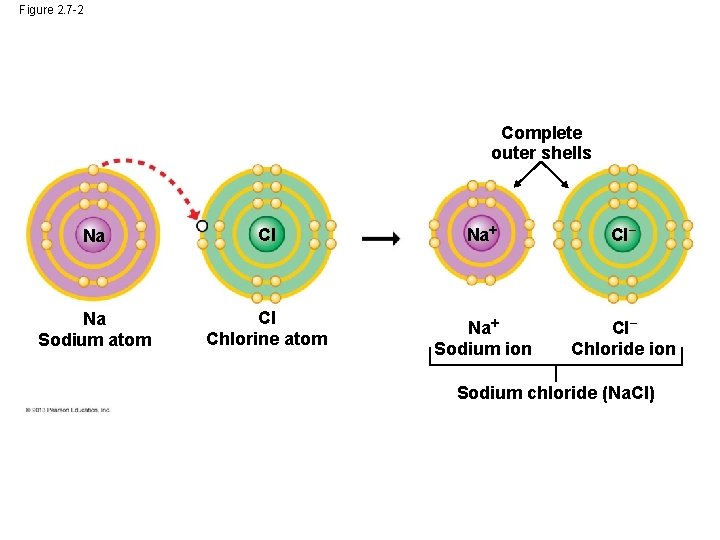 Figure 2. 7 -2 Complete outer shells Na Cl Na Cl– Na Sodium atom