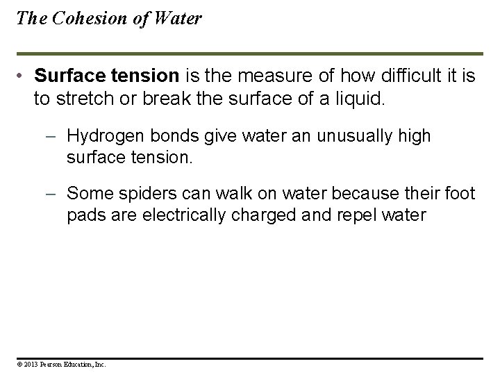 The Cohesion of Water • Surface tension is the measure of how difficult it