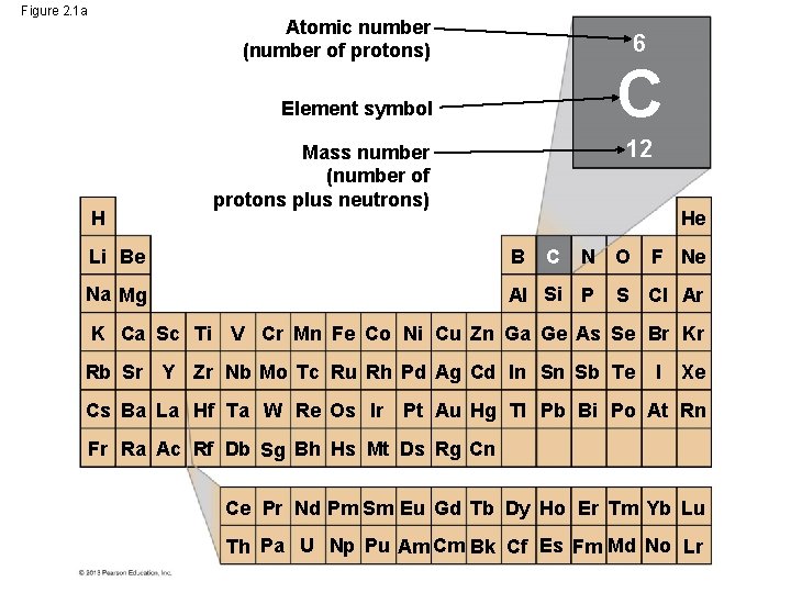 Figure 2. 1 a Atomic number (number of protons) 6 C Element symbol H