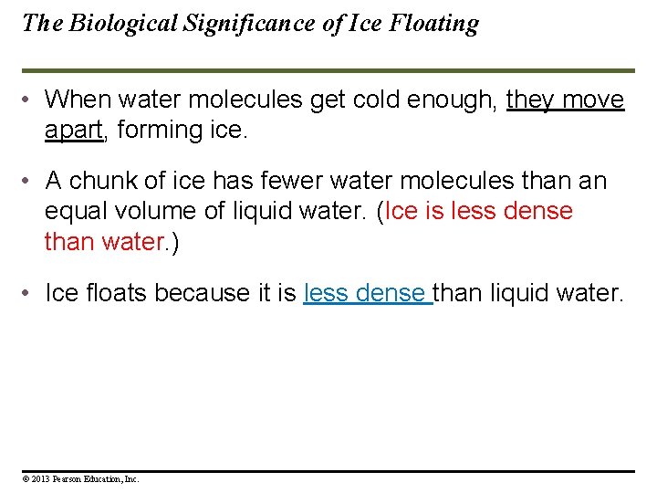 The Biological Significance of Ice Floating • When water molecules get cold enough, they