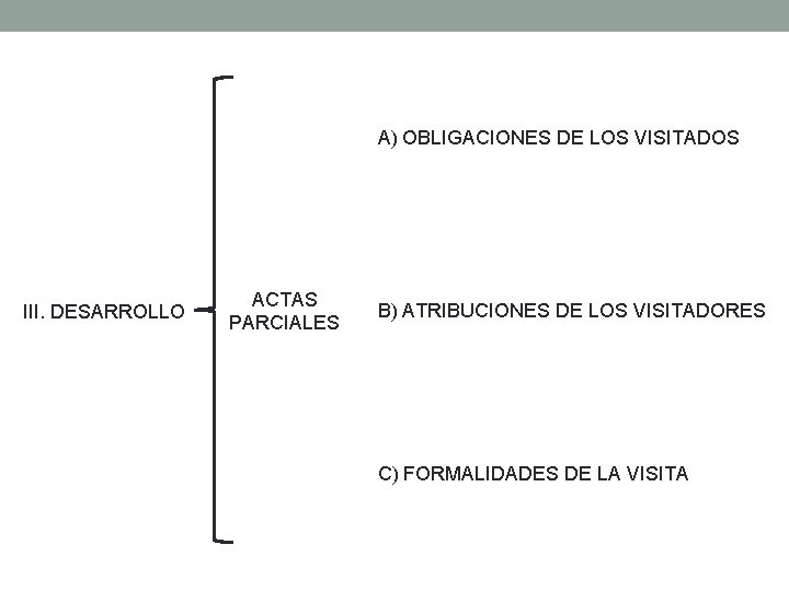 A) OBLIGACIONES DE LOS VISITADOS III. DESARROLLO ACTAS PARCIALES B) ATRIBUCIONES DE LOS VISITADORES