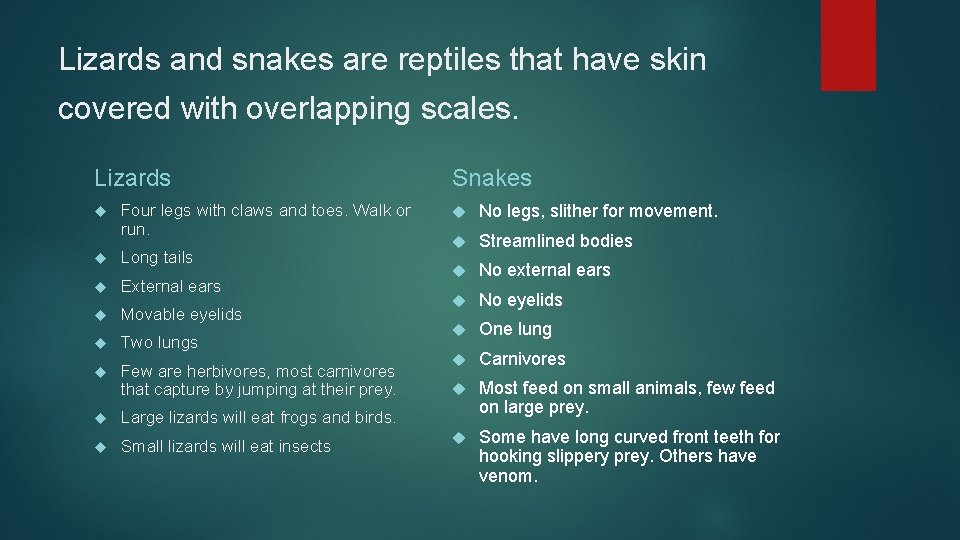 Lizards and snakes are reptiles that have skin covered with overlapping scales. Lizards Four