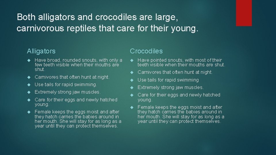 Both alligators and crocodiles are large, carnivorous reptiles that care for their young. Alligators