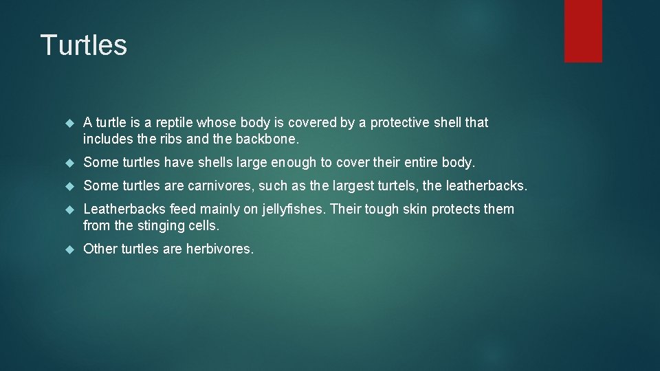 Turtles A turtle is a reptile whose body is covered by a protective shell