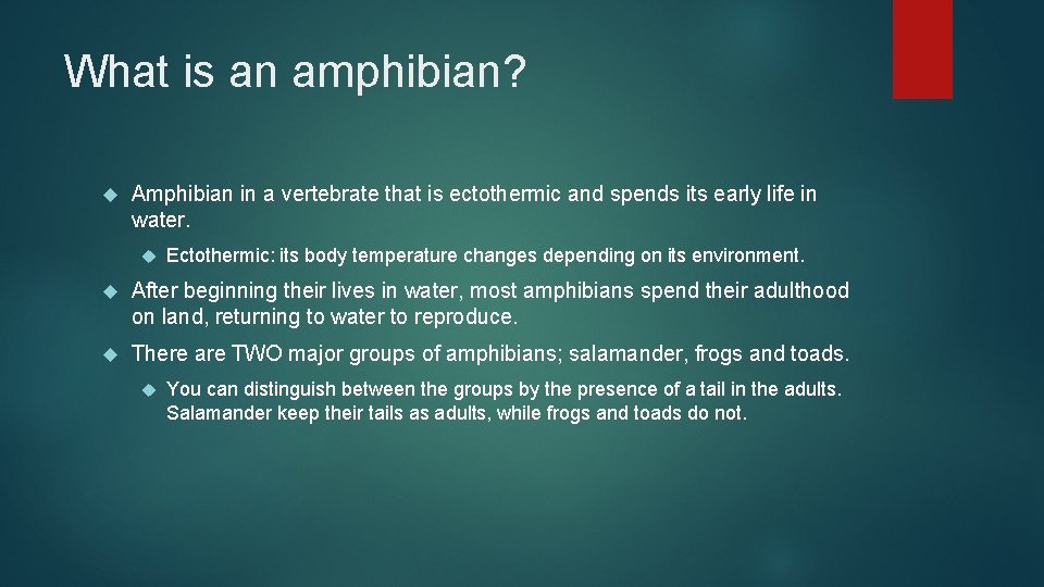 What is an amphibian? Amphibian in a vertebrate that is ectothermic and spends its