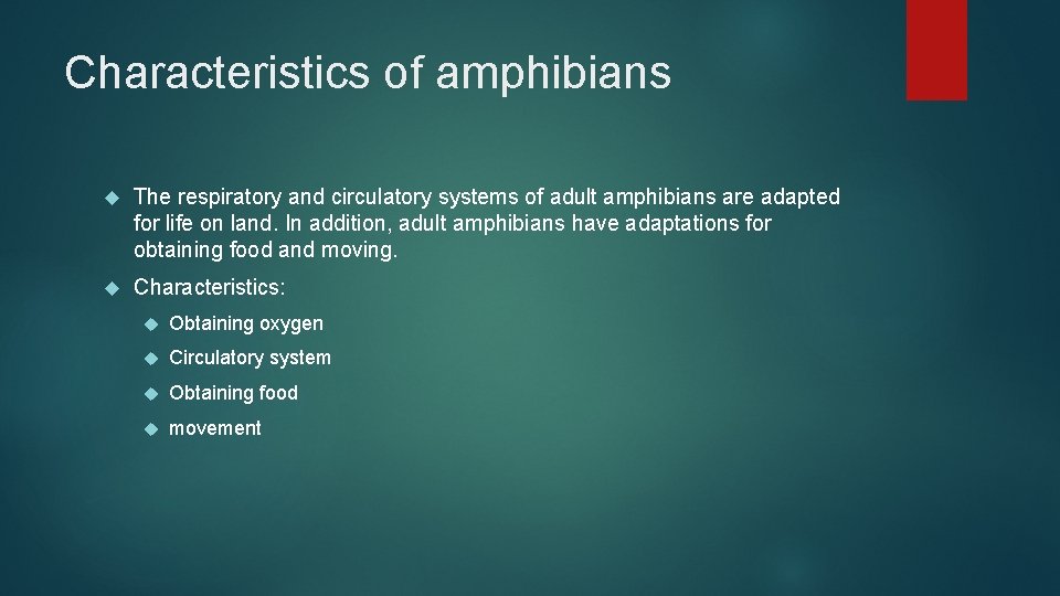 Characteristics of amphibians The respiratory and circulatory systems of adult amphibians are adapted for
