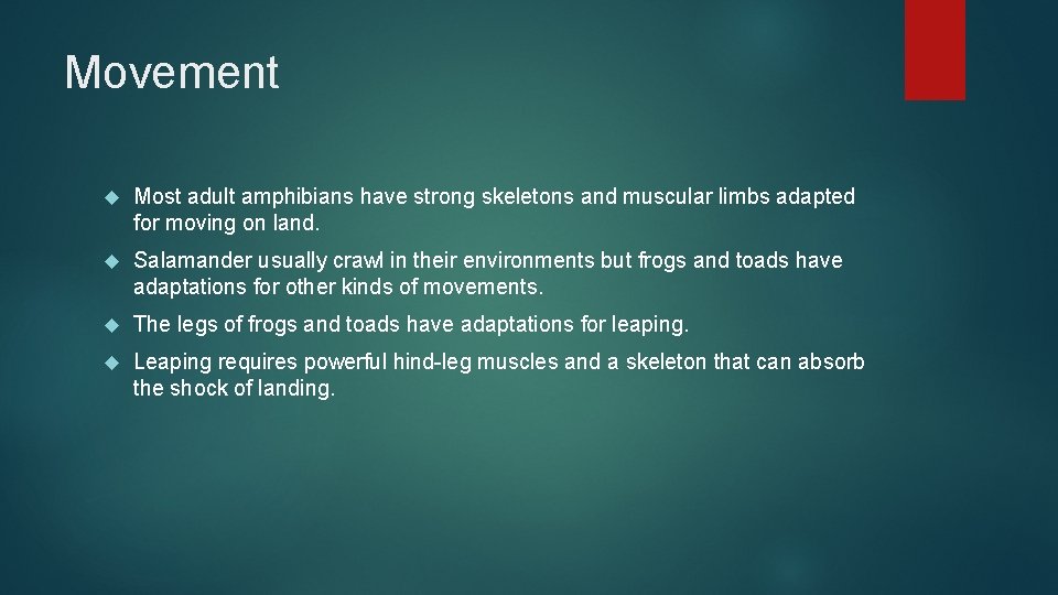Movement Most adult amphibians have strong skeletons and muscular limbs adapted for moving on