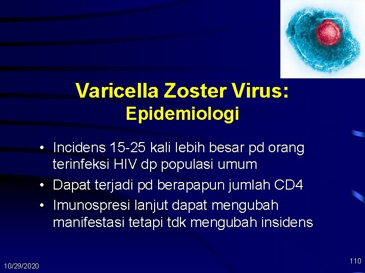Varicella Zoster Virus: Epidemiologi • Incidens 15 -25 kali lebih besar pd orang terinfeksi