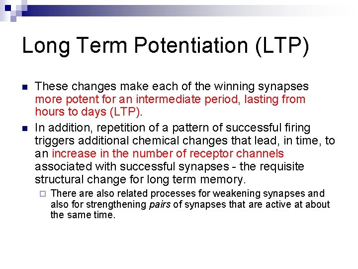 Long Term Potentiation (LTP) n n These changes make each of the winning synapses