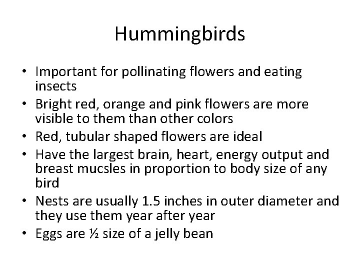 Hummingbirds • Important for pollinating flowers and eating insects • Bright red, orange and