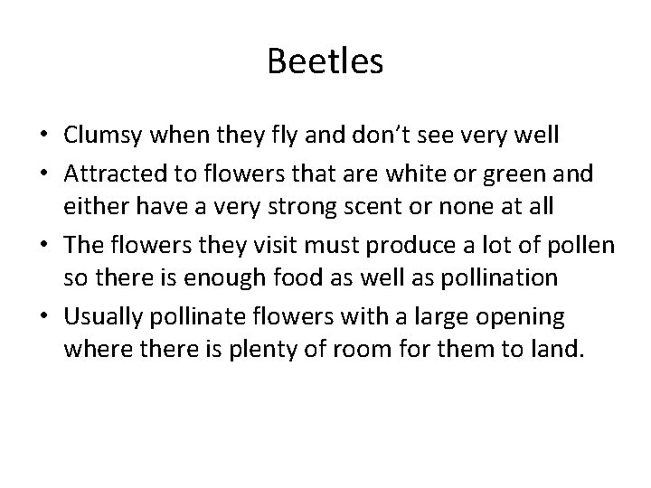 Beetles • Clumsy when they fly and don’t see very well • Attracted to