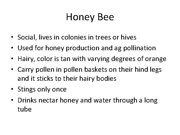 Honey Bee Social, lives in colonies in trees or hives Used for honey production