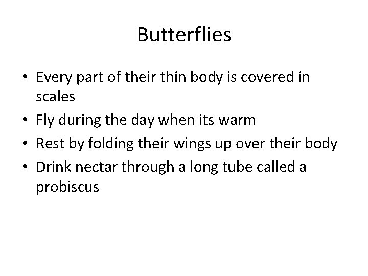 Butterflies • Every part of their thin body is covered in scales • Fly