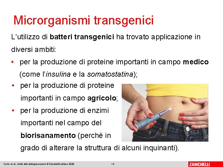 Microrganismi transgenici L’utilizzo di batteri transgenici ha trovato applicazione in diversi ambiti: • per