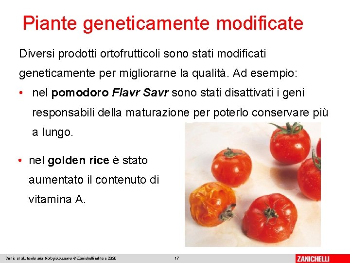 Piante geneticamente modificate Diversi prodotti ortofrutticoli sono stati modificati geneticamente per migliorarne la qualità.