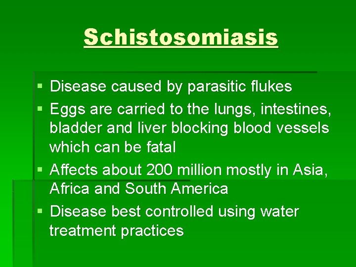 Schistosomiasis § Disease caused by parasitic flukes § Eggs are carried to the lungs,