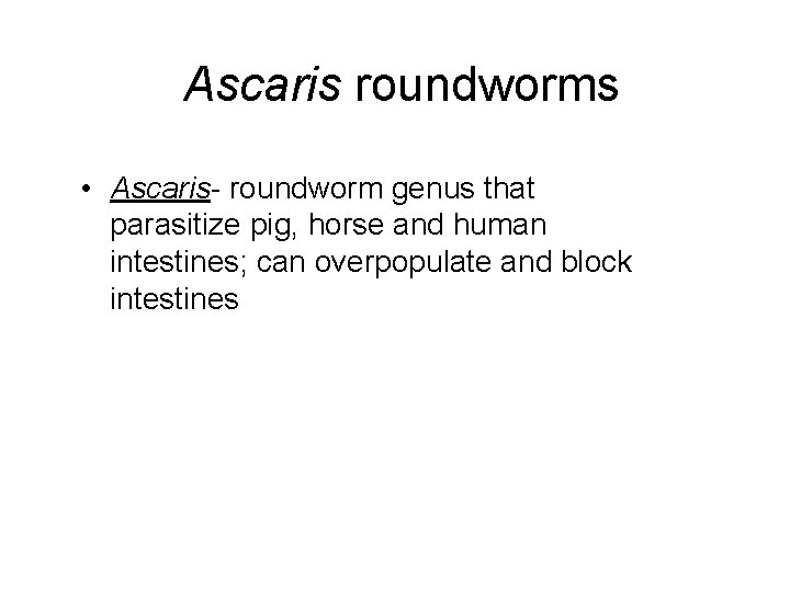Ascaris roundworms • Ascaris- roundworm genus that parasitize pig, horse and human intestines; can