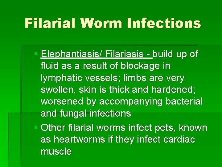 Filarial Worm Infections § Elephantiasis/ Filariasis - build up of fluid as a result