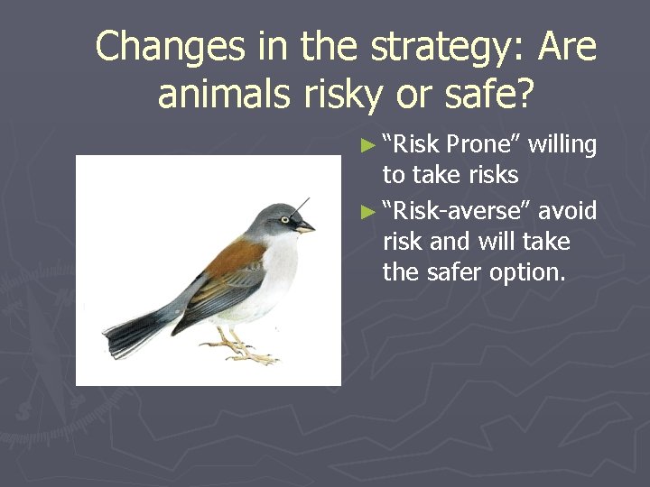 Changes in the strategy: Are animals risky or safe? ► “Risk Prone” willing to