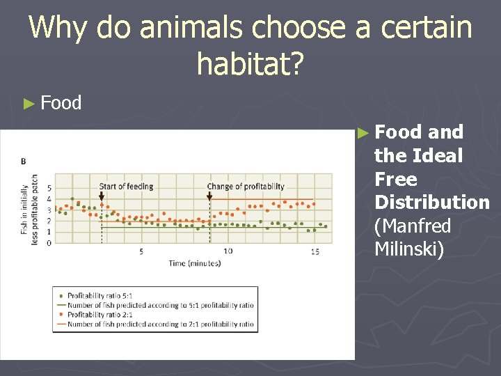 Why do animals choose a certain habitat? ► Food and the Ideal Free Distribution